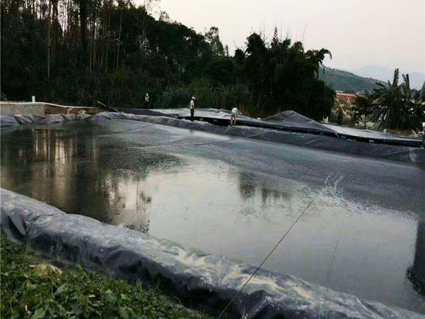 工程案例