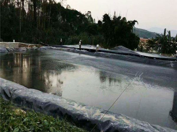 工程案例